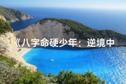 《八字命硬少年：逆境中的坚韧成长》