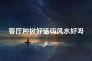 客厅种树好活吗风水好吗;客厅养树有什么说法