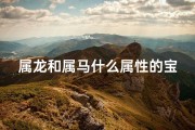 属龙和属马什么属性的宝宝