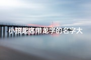 小孩起名带龙字的名字大全