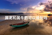 属龙和属牛的可以婚配吗;属龙属牛能配对吗？婚配奥秘大揭秘