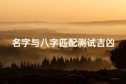 名字与八字匹配测试吉凶_八字吉凶匹配：揭秘名字与命运的秘密