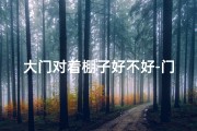 大门对着棚子好不好-门口搭棚影响风水？揭秘家居风水禁忌