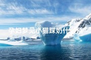 孕妇梦见小猫踩奶什么预兆(孕妇梦见小猫踩奶什么预兆解梦)