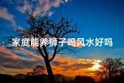 家庭能养狮子吗风水好吗;可以在家养狮子吗
