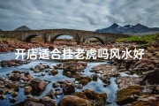 开店适合挂老虎吗风水好吗,店铺里挂老虎画有讲究吗