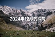 2024年12月的探病黄道吉日,2024年12月有31号吗