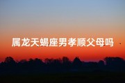 属龙天蝎座男孝顺父母吗,属龙天蝎座男生的爱情观