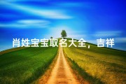 肖姓宝宝取名大全，吉祥好名与传统文化解析