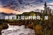 房屋顶上可以种树吗、屋顶种树风水佳，宜居环境新选择