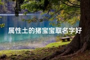 属性土的猪宝宝取名字好吗-土猪宝宝吉祥名：福土金猪，福满人间