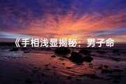 《手相浅显揭秘：男子命运之谜》