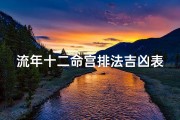流年十二命宫排法吉凶表;《流年十二命宫吉凶速查表：运势解析指南》