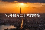 95年腊月二十六的命格如何-《95腊月二十六命格：揭秘生肖运势之谜》