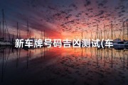新车牌号码吉凶测试(车牌吉凶预测免费)