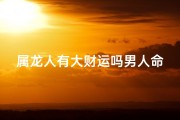 属龙人有大财运吗男人命运