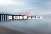 夜间生的兔宝宝取名