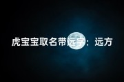 虎宝宝取名带远字：远方有虎宝宝充满远大可能！