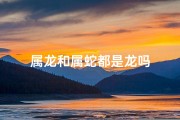 属龙和属蛇都是龙吗