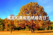 属龙和属蛇的结婚吉日