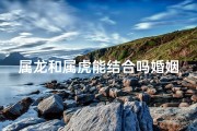 属龙和属虎能结合吗婚姻-属龙和属虎能结合吗婚姻如何