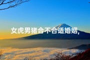 女虎男猪合不合适婚姻,《女虎男猪吉凶配对揭秘：命运交织的奥秘》