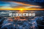 给小孩起名男孩田
