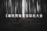 《秦姓男兔宝宝取名大全：创意美名汇聚》