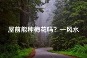 屋前能种梅花吗？—风水讲究：房东种梅花，旺运又吉祥
