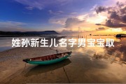 姓孙新生儿名字男宝宝取名