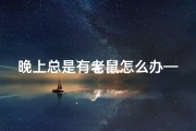 晚上总是有老鼠怎么办—《夜半鼠窃吉凶测：揭秘梦境中的神秘预兆》