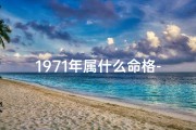 1971年属什么命格-1971年属什么命格：揭秘生肖运势密码