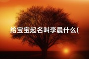 给宝宝起名叫李晨什么(父姓李 想给宝宝起个名带晨字有什么好名 )