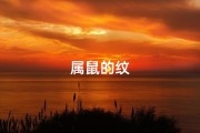 属鼠的纹