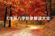 《生辰八字卦象解读大全：揭秘命运密码图解》