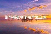 给小孩起名字姓严怎么起