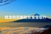 姓龙的双胞胎女宝宝取什么名字好_龙年女宝宝双福字取名大全：吉祥如意好名字精选