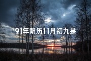 91年阴历11月初九是什么星座;《91年11月初九命格：揭秘独特命运之谜》