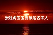 张姓虎宝宝男孩起名字大全_姓张属虎的男孩名字