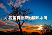 小区里有墓碑影响风水吗为什么,小区墓碑风水之谜：影响几何？