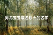 男龙宝宝取名缺火的名字姓张,张炽炎龙：火龙宝宝，炽热如炎，龙腾万里