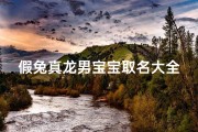 假兔真龙男宝宝取名大全、《假兔真龙男宝宝，创意取名大全集》