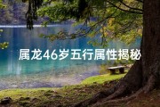 属龙46岁五行属性揭秘：龙年人生运势大解析