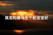 属龙和属马生个蛇宝宝好吗-属龙属马喜结良缘，蛇宝宝降临好运连连