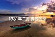 1981年二月初四的命格-《1981年二月初四命格：揭秘独特命运之谜》