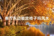 客厅东边能放椅子吗风水_客厅东边能摆放绿植么