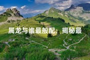 属龙与谁最般配：揭秘最佳伴侣生肖