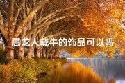 属龙人戴牛的饰品可以吗_属龙女生专属：牛手链，运势加分神器