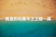 属鼠的和属牛上上婚—属鼠的和属牛的结婚怎么样