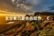 玄空紫白星吉凶组合、《玄空紫白星吉凶组合揭秘》